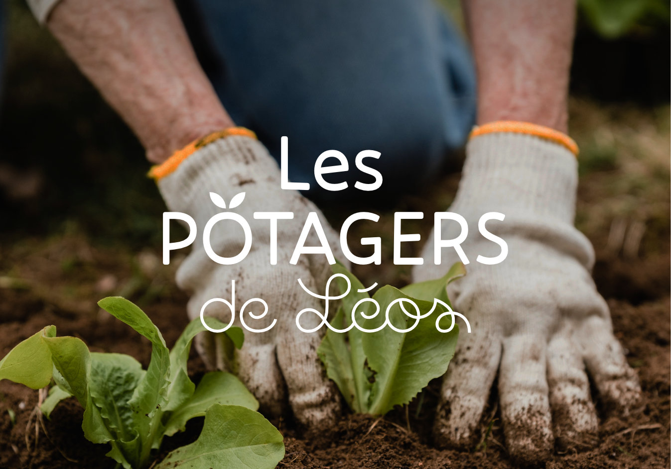 Actualit S Les Potagers De L Os Cr Ateur De Jardins Potagers Sur